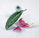 DELS_Album