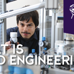 Food Engineering