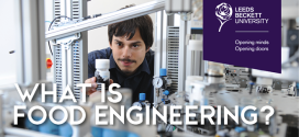 What is food engineering?